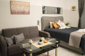 Neli's Apartment in Shartrez